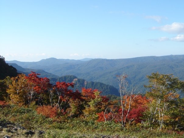 Iwate Countryside