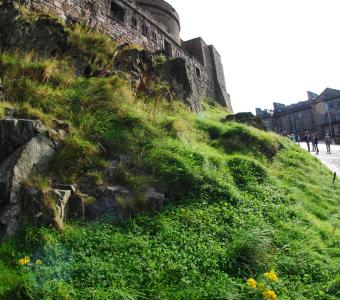 Scotland castles medieval