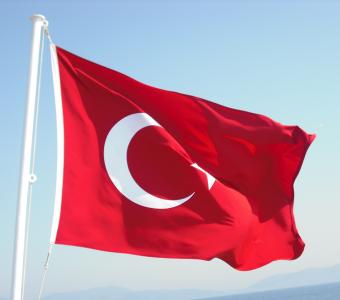 Turkish Flag wind turkey