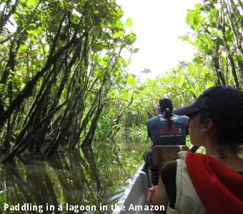 Paddling in a lagoon in the Amazon