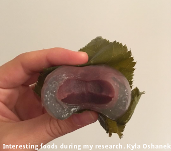 Interesting foods during my research, Kyla Oshanek