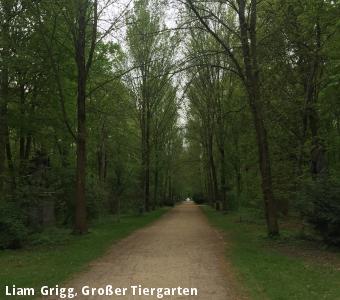 Liam Grigg, Großer Tiergarten