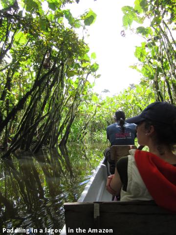 Paddling in a lagoon in the Amazon