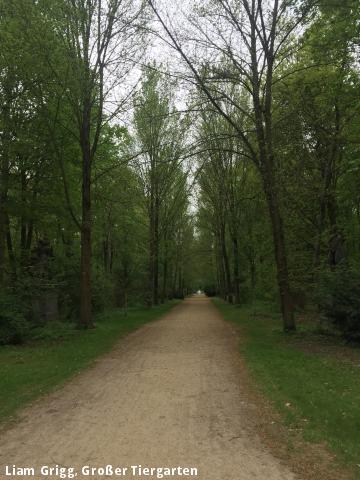 Liam Grigg, Großer Tiergarten