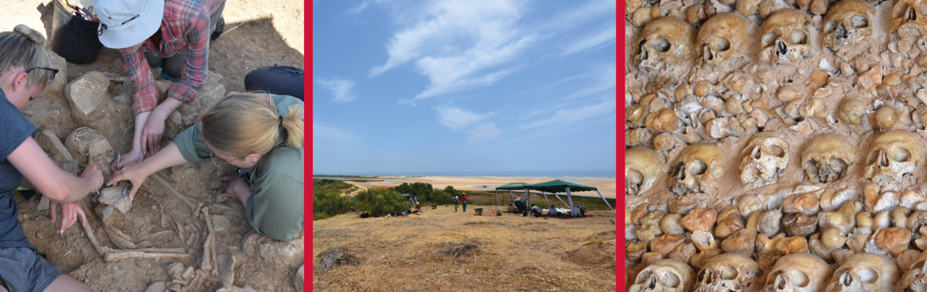 SFU: Bioarchaeology Field School: Life and Death in Medieval Portugal 2022