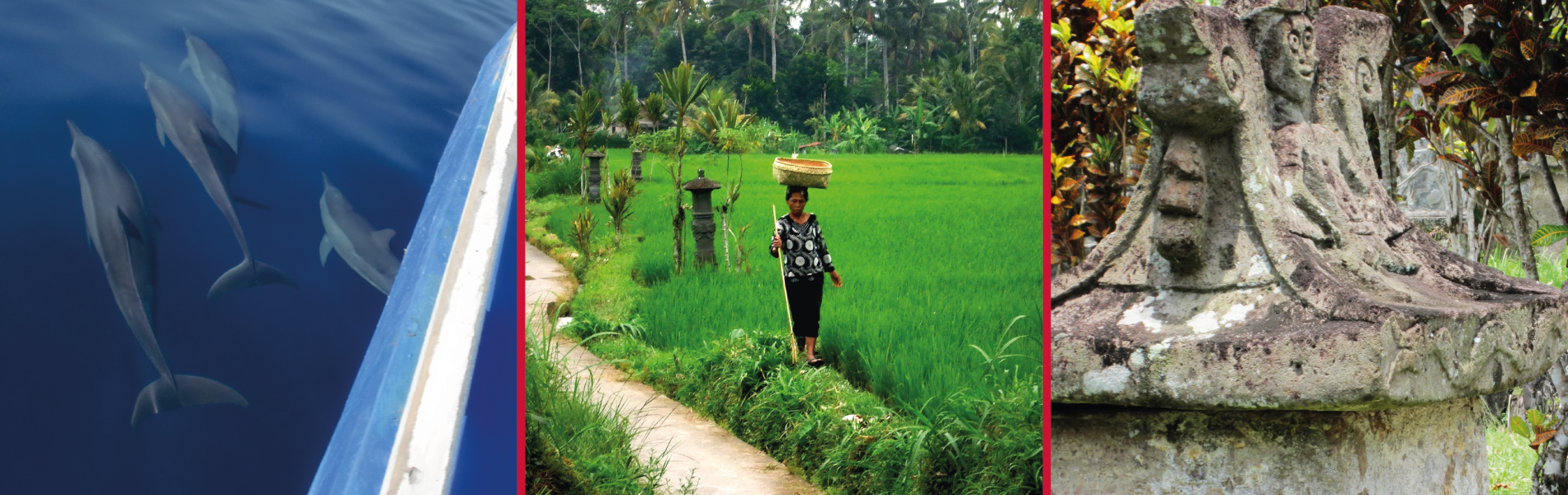 SFU: Indonesia: Environmental and Ecological Education 2022