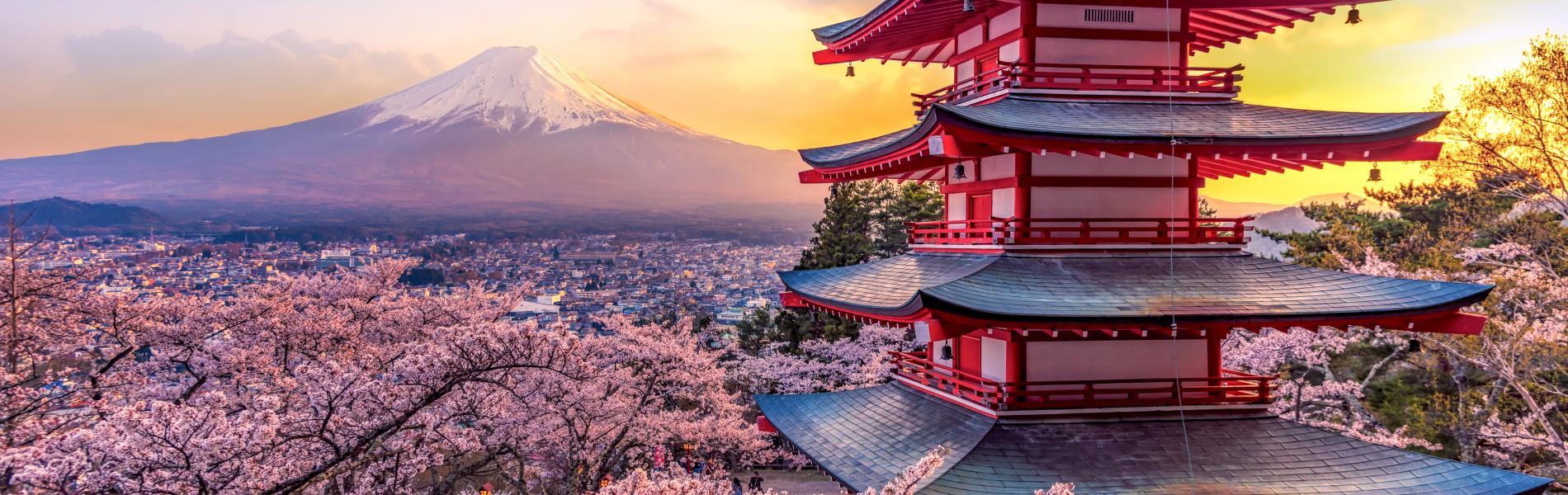 BCIT Business Summer Field Schools in Japan