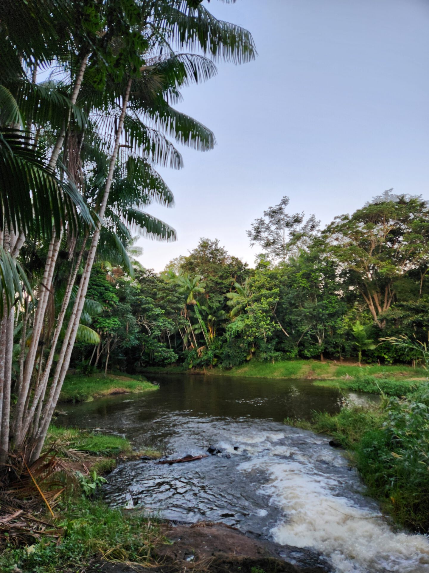 Brazil Field School 2026: Interdisciplinary Community Service in Agroecology