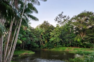 Brazil-Field-School_1