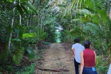 Brazil-Field-School_2