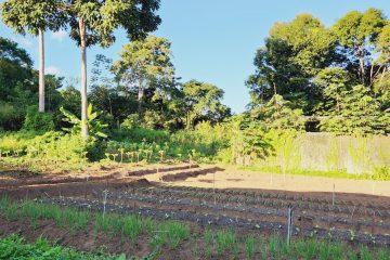 Brazil-Field-School_3