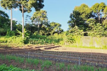Brazil-Field-School_3