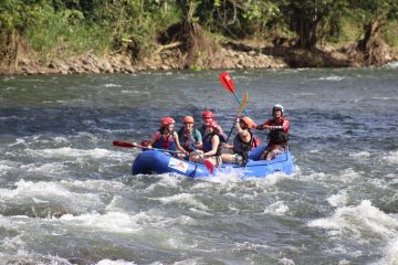 IMG_4808