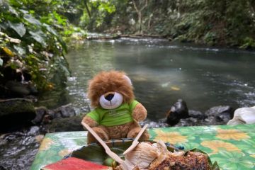 Roary_lunch_Villa_Escudero_2023